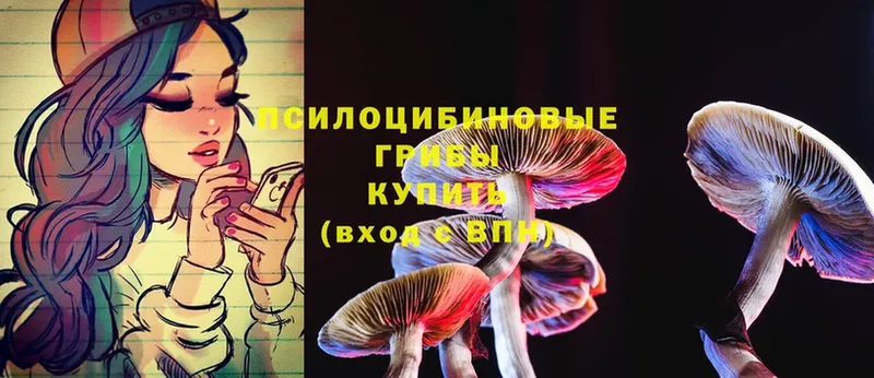 Галлюциногенные грибы MAGIC MUSHROOMS  площадка клад  Нижний Ломов 